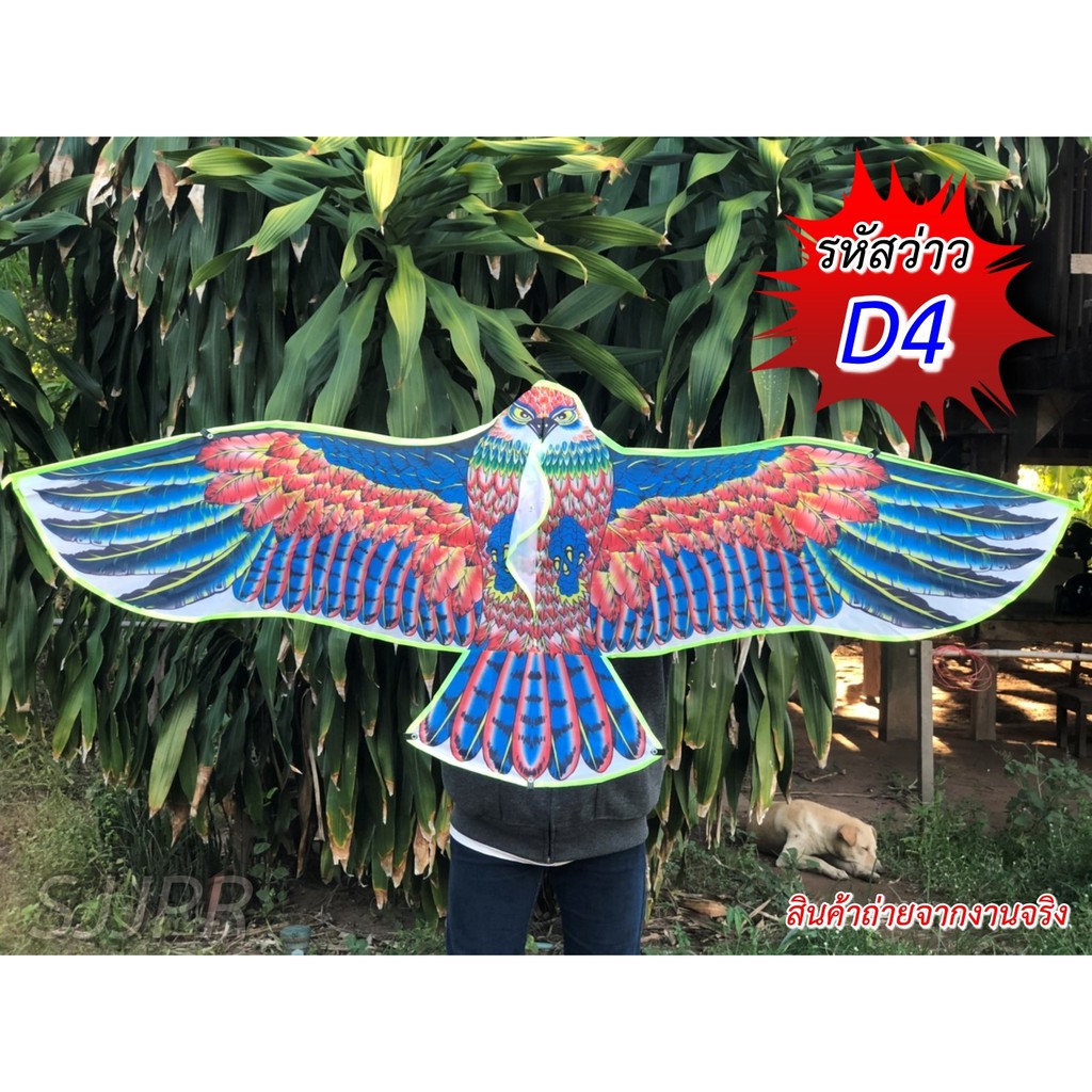 ว่าวไล่นก ว่าวนกอินทรีย์นกเหยี่ยว ว่าวไล่นกกันนกทำลายผลผลิต ว่าวตกแต่งสวน