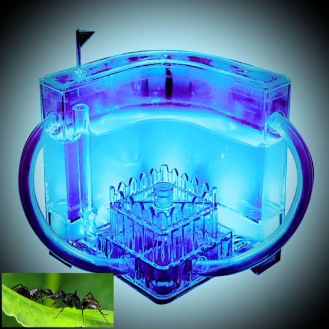 บ้านมด ที่เลี้ยงมีไฟส่อง กล่องเลี้ยงมด ฟาร์มมดของเล่น บ้านมด ฟาร์มมดเจลเขาวงกต Ant Farm-B(มีไฟLED)