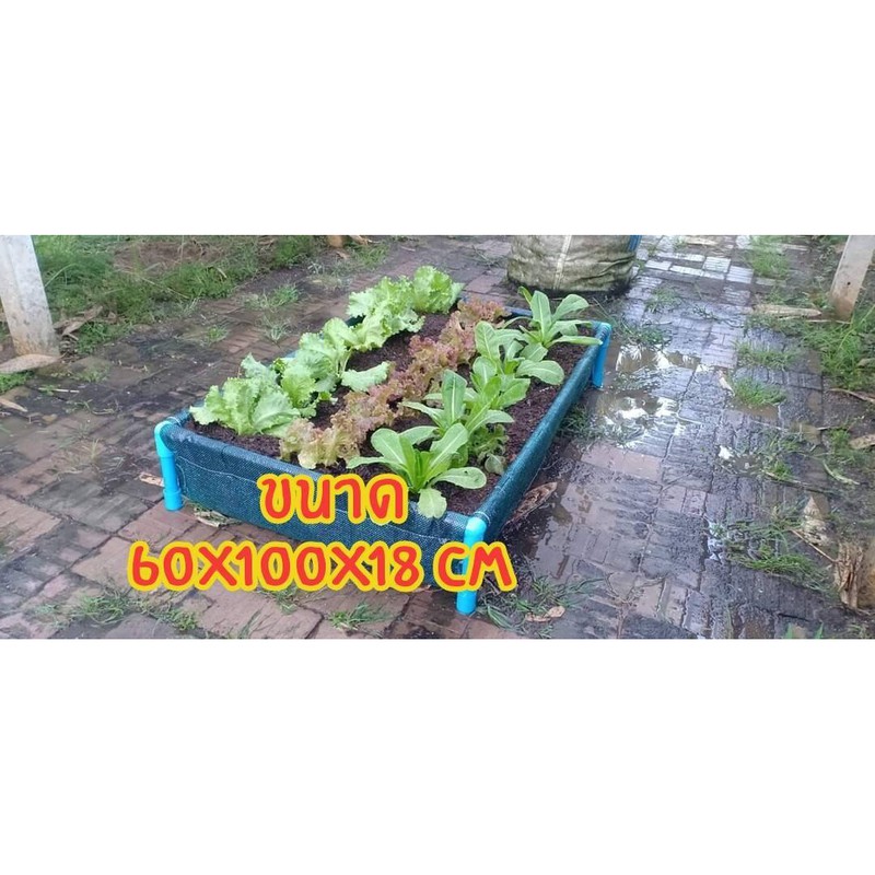 กะบะปลูกผักพร้อมโครง60x100x18cmแปลงผักเพาะปลูกกะบะใส่ดินถุงปลูกต้นไม้กะบะปลูกผักสวนครัว