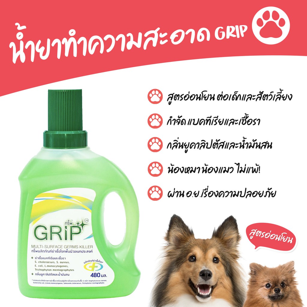 ✅ส่งฟรี ✅ ของแท้! GRIP กริ๊พ น้ำยาฆ่าเชื้ออเนกประสงค์ กริ๊ฟ สูตรอ่อนโยนพิเศษ น้ำยาถูพื้น น้ำยาถูบ้าน