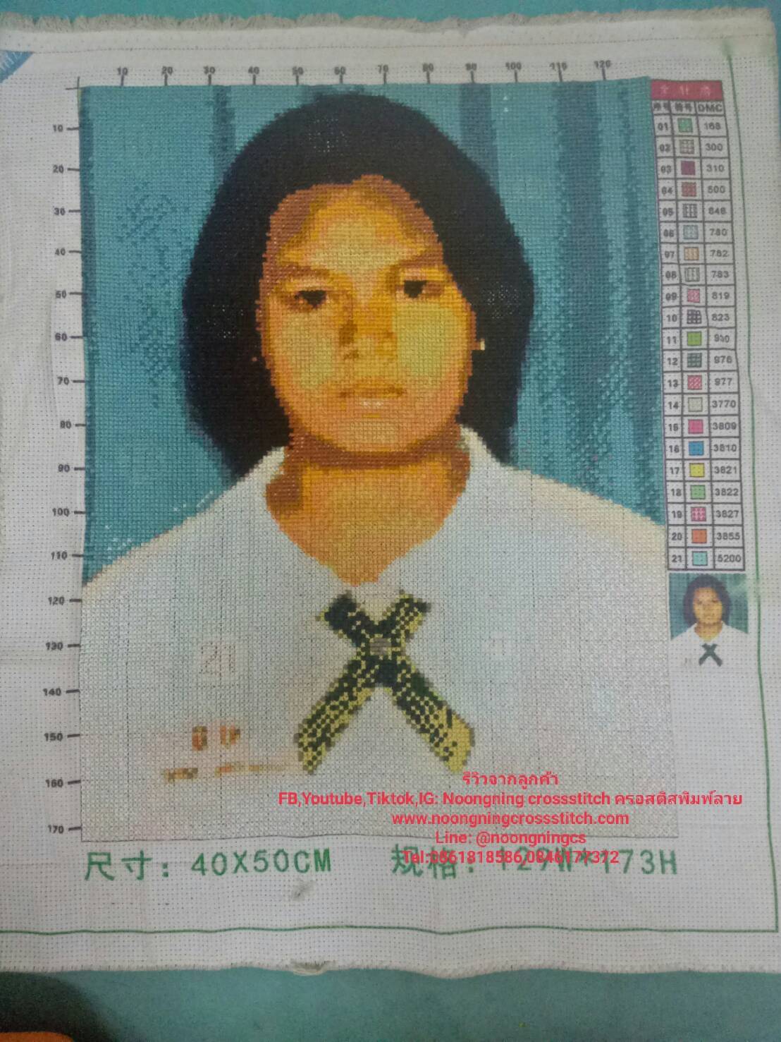 ครอสติส สั่งทํา 50x60ซม รูปตัวเอง ชุดปักครอสติส พิมพ์ลาย ครอสติสจีน งานฝีมือทำที่บ้าน DIY