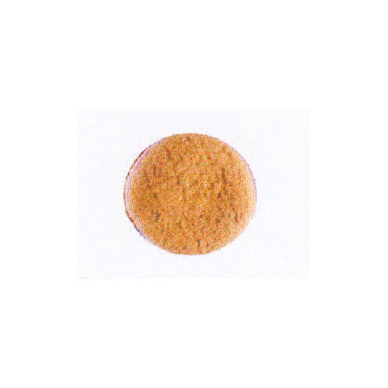 เครื่องมือช่าง สว่าน ดอกสว่าน ผ้าขนแกะขัดเงา SOMIC 5" SOMIC 5" WOOL POLISHER