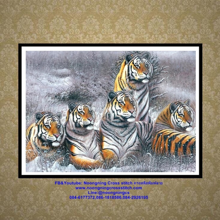 ฝูงเสือโคร่ง ครอสติสคริสตัล Diamond painting โมเสก ภาพติดเพชร งานฝีมือทำที่บ้าน DIY