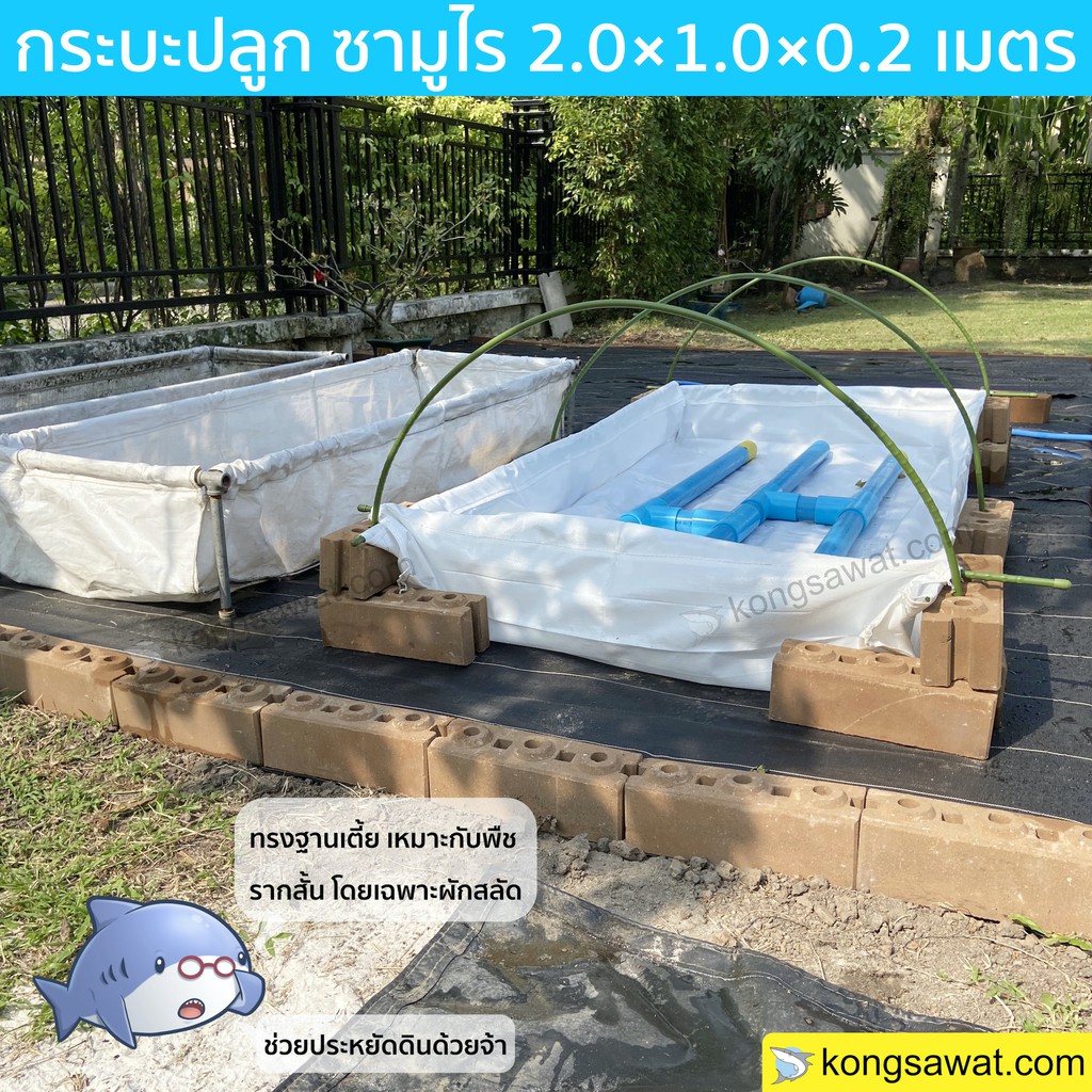 กระบะปลูก ตราซามูไร ผักสวนครัว กระถางปลูก พร้อมโครงมุ้งกันแมลง 1.0×2.00×0.2 เมตร