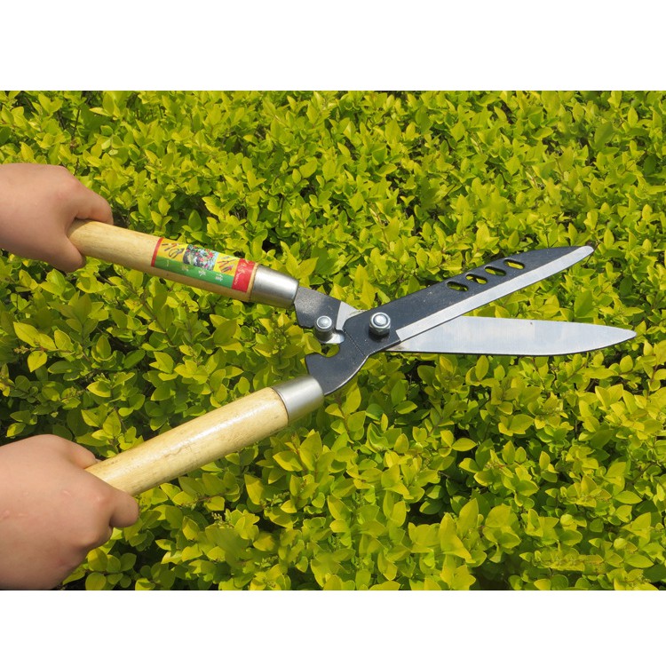 T&G กรรไกรตัดแต่งกิ่ง กรรไกรตัดหญ้า อุปกรณ์ตกแต่งสวน น้ำหนักเบา ตัดเร็ว กรรไกรตัดหญ้าด้ามไม้ กรรไกรเล็มหญ้า