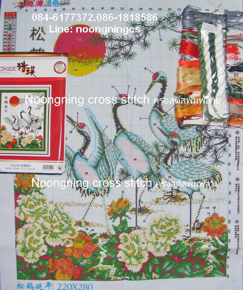 ม้าครอสติสจีนพิมพ์ลาย