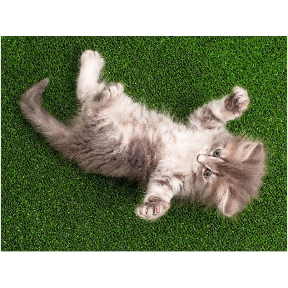 หญ้าเทียม หญ้าเทียมปูพื้น อุปกรณ์ตกแต่งสวน แผ่นหญ้าเทียม หญ้าปูสนาม หญ้าปลอม