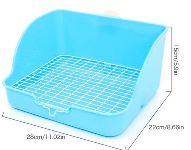 *มาเพิ่มครบทุกสี /ห้องน้ำกระต่าย 💕🐰💕