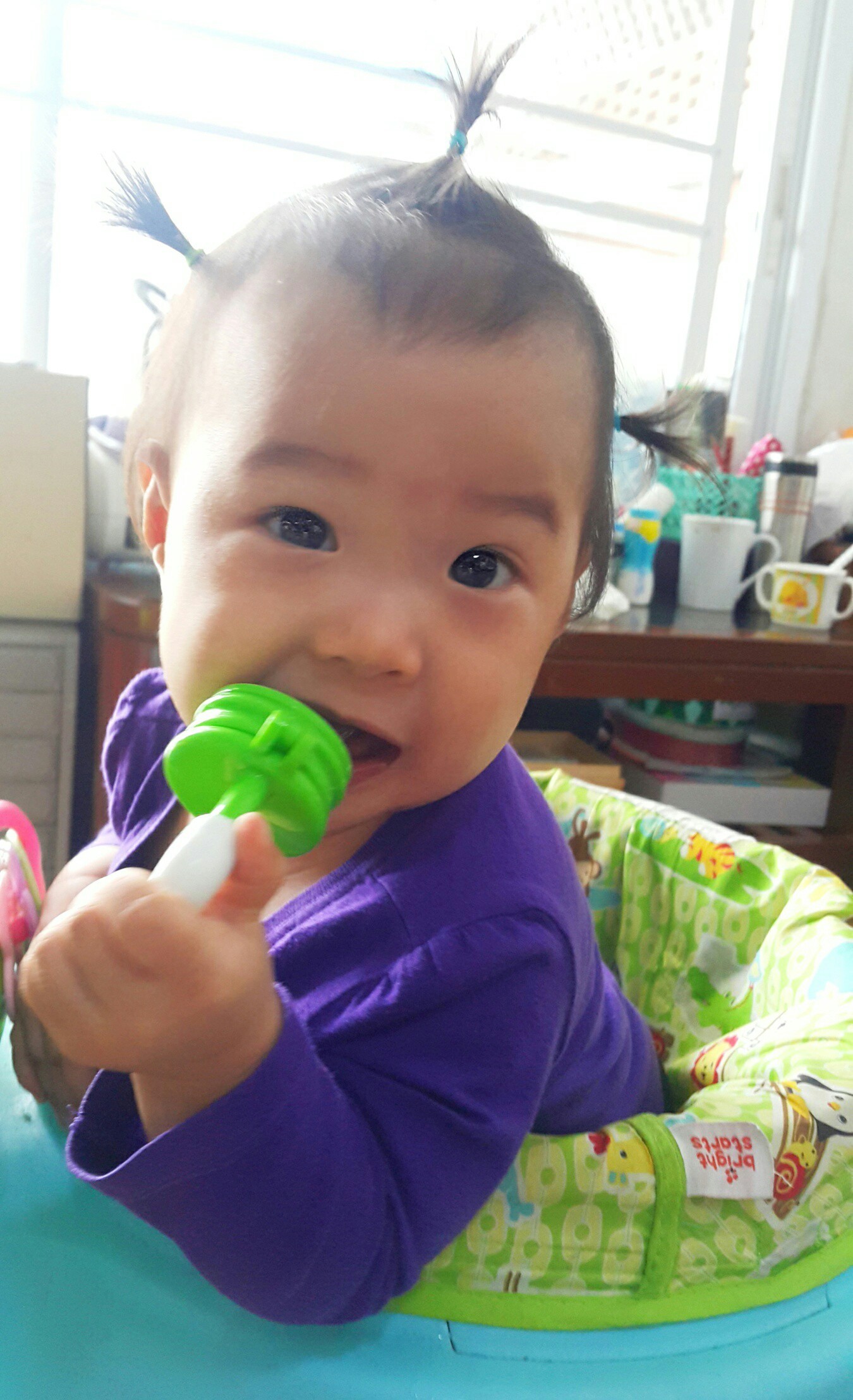 ที่ดูดผลไม้และอาหารเด็กสีเขียว