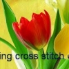 ดอกทิวลิปหลากสี ชุดปักครอสติช พิมพ์ลาย ครอสติสจีน งานฝีมือ DIY