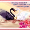 หงษ์จูบกัน ชุดปักครอสติช พิมพ์ลาย ครอสติสจีน งานฝีมือ DIY