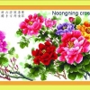 ดอกไม้หลากสี ชุดปักครอสติช พิมพ์ลาย ครอสติสจีน งานฝีมือ DIY