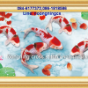 ปลาคราฟดอกบัว3D ชุดปักครอสติช พิมพ์ลาย ครอสติสจีน งานฝีมือ DIY