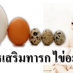 อาหารเสริมทารก ให้ลูกกินไข่อะไรดีมีประโยชน์สุด