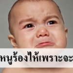 5 สาเหตุที่ทารกร้องไห้ เพื่อเป็นการบอกกับพ่อแม่ว่า..?