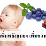 10 อาหารเพิ่มพลังสมอง เพิ่มความจำให้ลูก