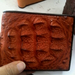 กระเป๋าหนังจระเข้แท้ (กระดูกหัว)สีแทน