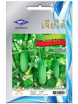 เมล็ดพันธุ์ แตงกวา แข็งแรง ออกรากง่าย