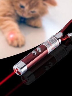 !!สินค้าขายดี!! เลเซอร์ของเล่นแมว Laser Pointer