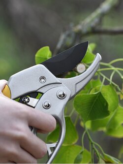 กรรไกรตัดกิ่ง สีเทาเหลือง คีมแต่งกิ่ง คีมตัดต้นไม้ ตัดกิ่งไม้ อุปกรณ์ทำสวน เครื่องทำสวน กรรไกรตัดแต่งกิ่ง แต่งกิ่ง สวน 6