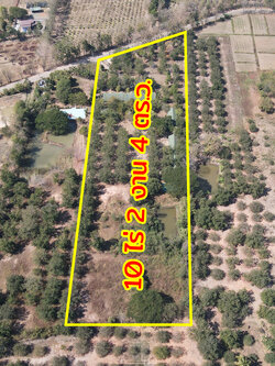 76932-ขายรีสอร์ท น้ำตกตาดหมอก อุทยานแห่งชาติตาดหมอก เมืองเพชรบูรณ์ เพชรบูรณ์