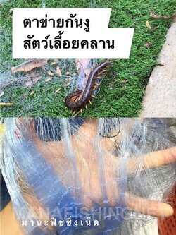 ตาข่ายดักงู ตาข่ายดักสัตว์มีพิษ สูง 1 เมตร ความยาว 30 เมตร ล้อมรั้ว ล้อมบ้าน