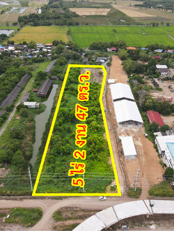 31245-ขายที่ดิน ถนนโรจนะ วังน้อย อยุธยา