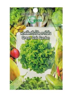 เมล็ดพันธุ์ผักสลัด กรีนโอ๊ กรีน การ์เด้น แข็งแรง ออกรากง่าย