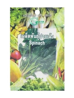 เมล็ดพันธุ์ปวยเล้ง กรีน การ์เด้น แข็งแรง ออกรากง่าย