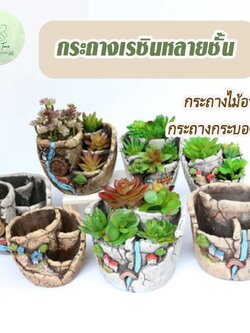กระถางเรซินหลายชั้น กระถางเรชินหลายหลุม กระถางแคตตัส กระถางคอนโด กระถางไม้อวบน้ำ กระถางแตก สวนถาด จัดสวน