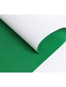 PP-109 สีเขียวแก่ กระดาษโปสเตอร์สี 1 หน้า หนา60แกรม/แพ็ค 20 แผ่น