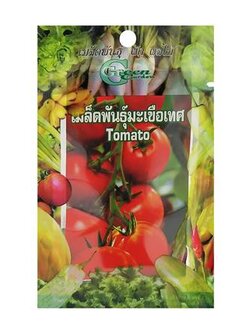 เมล็ดพันธุ์มะเขือเทศ กรีน การ์เด้น แข็งแรง ออกรากง่าย