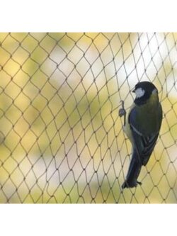 ดางเรด้า ดางดักนก กันค้างคาว กันนกมาเกาะที่ระเบียง กันนกมาทำลายผลผลิตในสวน ป้องกันการสร้างความเสียหายที่นกก่อ