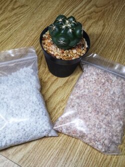 หินโรยหน้าแคคตัส หินแต่งสวน หินสี