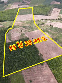 72165-ขายที่ดิน ตำบลตาลเลียน อำเภอกุดจับ จังหวัดอุดรธานี