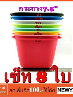 กระถาง เซ็ท 8ใบ ปลูกต้นไม้ ใหญ่ 7.5นิ้ว สีสวย ปลูกได้จนโต พลาสติก ทรง เหลี่ยม เมล็ด พันธุ์ สวนครัว สลัด แคคตัส แคทนิป186