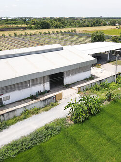 86359 ขายโรงงาน+โกดัง ไทรใหญ่ ไทรน้อย นนทบุรี