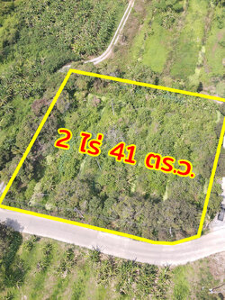 86337-ขายที่ดิน ซอยบางกร่าง 45 บางกร่าง นนทบุรี