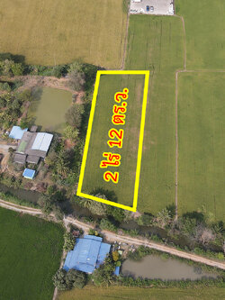 76925-ขายที่ดินในซอยคลองนวลนิตย์ วัดไพร่ฟ้า บางคูวัด ปทุมธานี