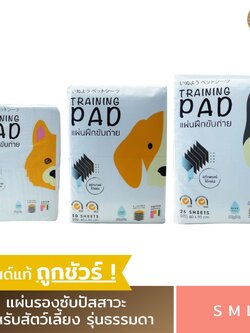 Hajiko ฮาจิโกะ (รุ่นธรรมดา) แผ่นรองฉี่ ฝึกขับถ่าย แผ่นรองฉี่สุนัข แผ่นซับฉี่ แผ่นฉี่หมา ห้องน้ําสุนัข