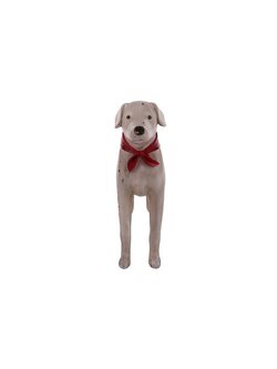 ของขวัญ Decor ของตกแต่ง DOG SCARF 37.5X29CM ขาว HOME LIVING STYLE | HOME LIVING STYLE |