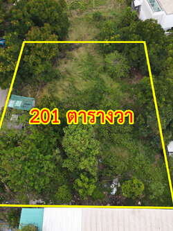 76911-ขายที่ดิน ซอยลาดกระบัง 38 ถนนลาดกระบัง กรุงเทพมหานคร