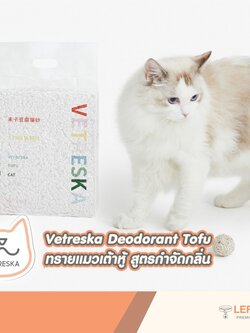 Vetreska Deodorant Tofu ทรายแมวเต้าหู้ สูตรกำจัดกลิ่น 6L / 2.5kg