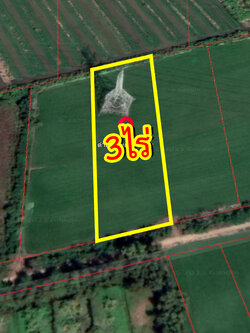 62109-ขายที่ดิน ถนนคลองเก้า คลองระพีพัฒน์ หนองเสือ ปทุมธานี