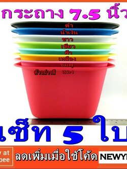 กระถาง เซ็ท 5ใบ ปลูกต้นไม้ ใหญ่ 7.5นิ้ว สีสวย ปลูกได้จนโต พลาสติก ทรง เหลี่ยม เมล็ด พันธุ์ สวนครัว สลัด แคคตัส ต้นจริง