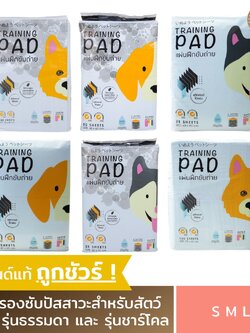 Hajiko ฮาจิโกะ แผ่นรองฉี่ ฝึกขับถ่าย แผ่นรองฉี่สุนัข แผ่นซับฉี่ แผ่นฉี่หมา ห้องน้ําสุนัข