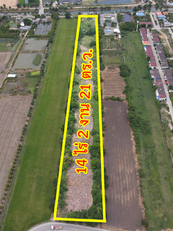 31253-ขายที่ดิน ไทรน้อย ถนนบางบัวทอง - สุพรรณบุรี นนทบุรี