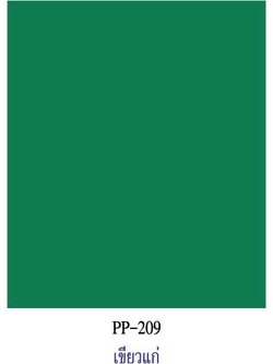 สีเขียวแก่ กระดาษโปสเตอร์สี 2 หน้า 20 แผ่น PP209