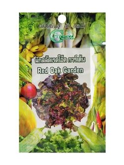 เมล็ดพันธุ์ผักสลัด เรดโอ๊ค กรีน การ์เด้น แข็งแรง ออกรากง่าย