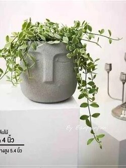 กระถางปูนหน้าคน บ้านปูนปั้น สีขาว ช่วยตกแต่งสวนของคุณให้ดูสวยงามมากขึ้น